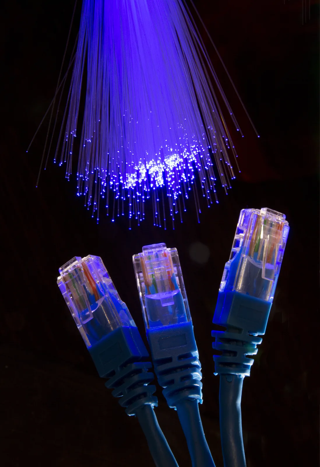 Conectores Ethernet junto a fibras ópticas iluminadas